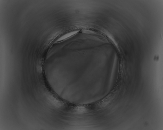 X0000091200114200708301608
