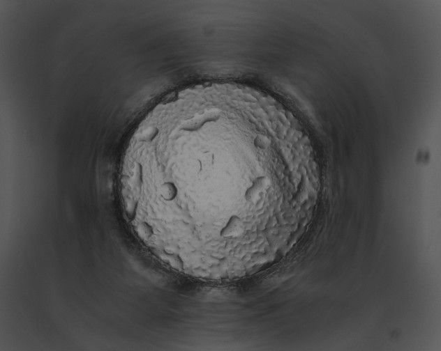 X0000091200115200708301608