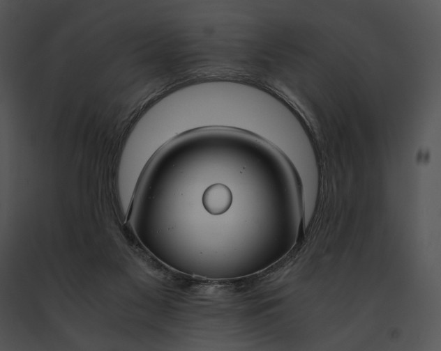 X0000091200117200708301608