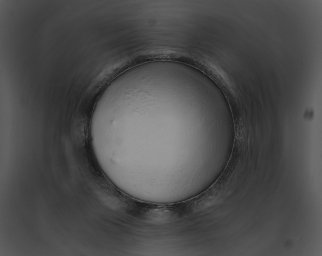 X0000091200119200708301608