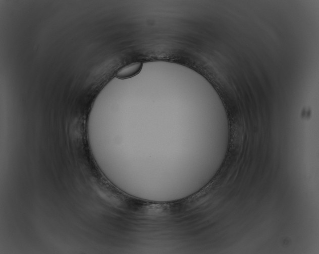 X0000091200126200708301608
