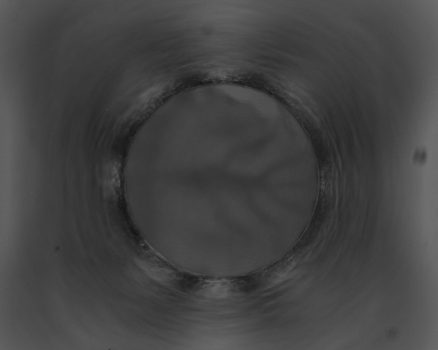X0000091200127200708301608