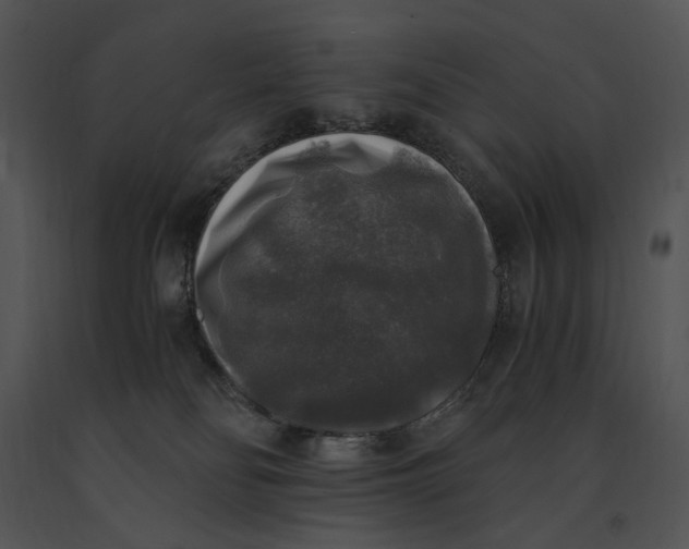 X0000091200134200708301608