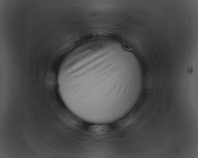 X0000091200135200708301608