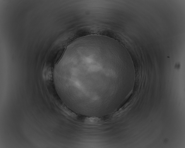X0000091200137200708301608