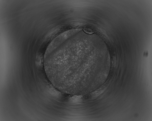 X0000091200138200708301608