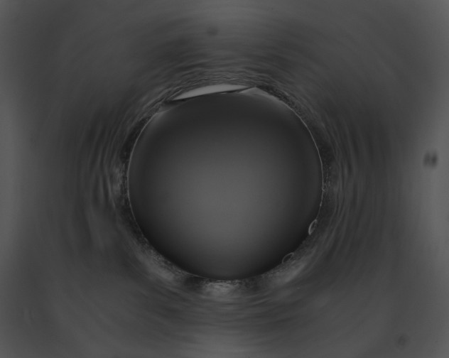 X0000091200139200708301608