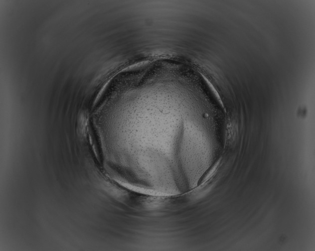 X0000091200142200708301608