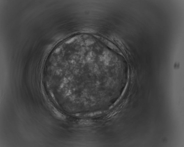 X0000091200145200708301607