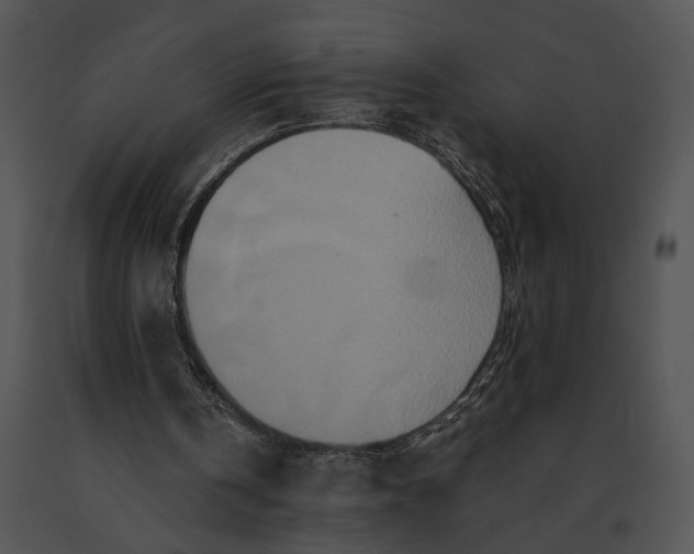 X0000091200146200708301607