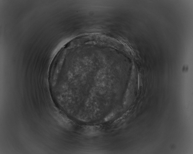 X0000091200147200708301607