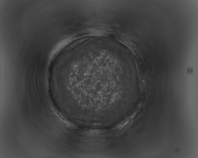 X0000091200149200708301607