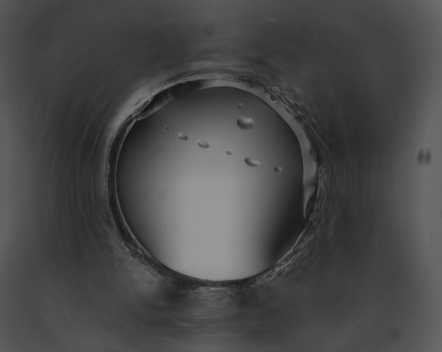 X0000091200150200708301607