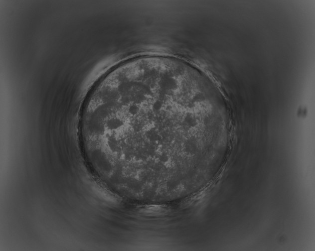 X0000091200151200708301607