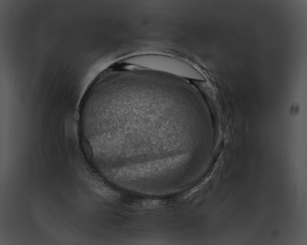 X0000091200152200708301607