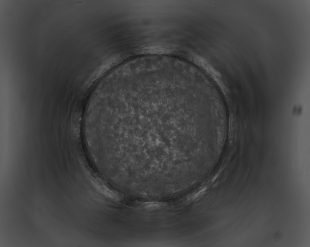 X0000091200153200708301607