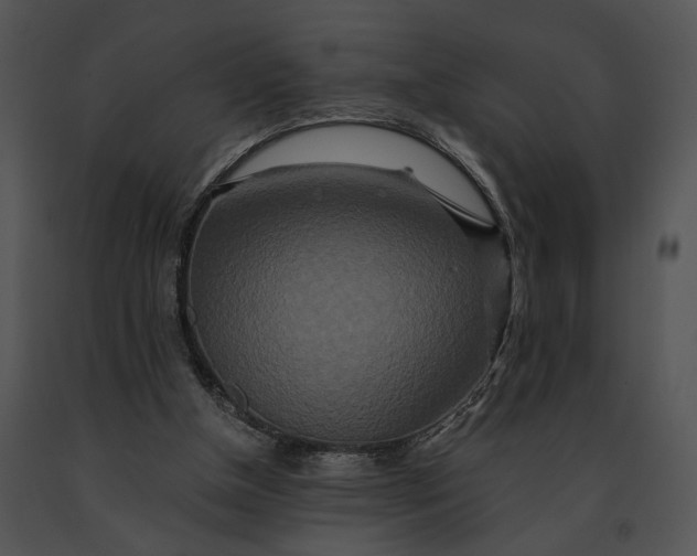 X0000091200154200708301607