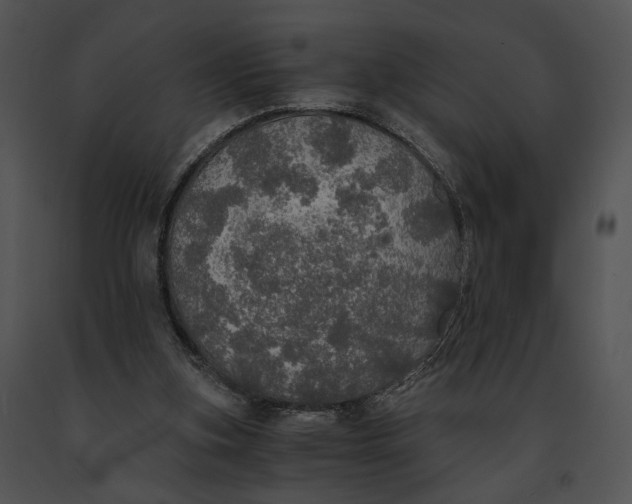 X0000091200155200708301607