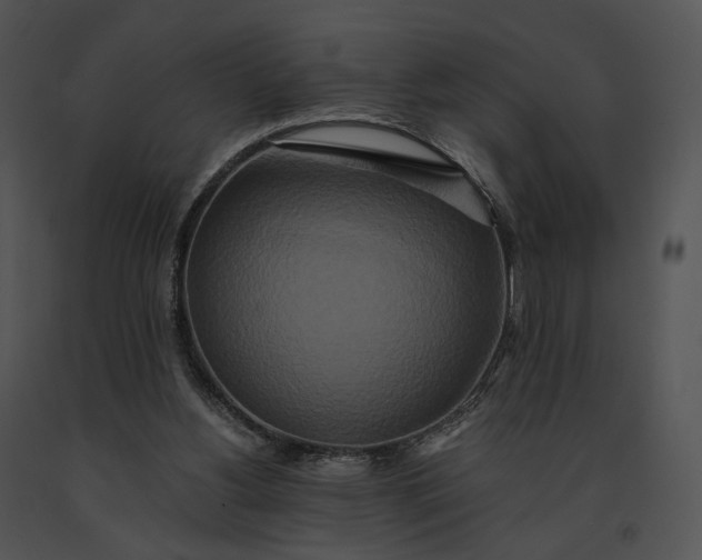 X0000091200156200708301607