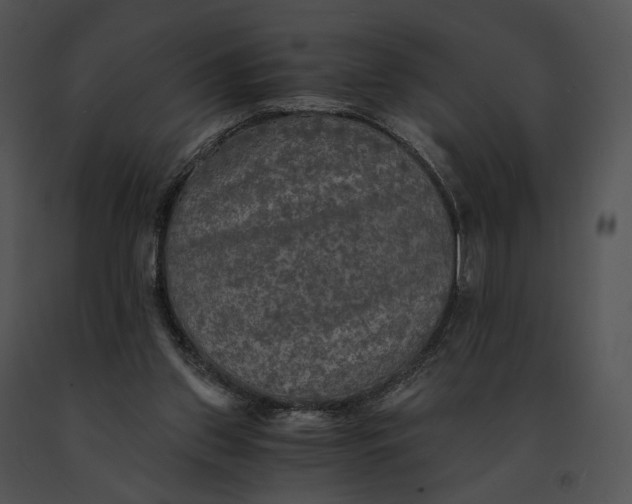 X0000091200157200708301607