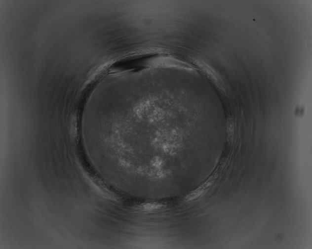 X0000091200158200708301607
