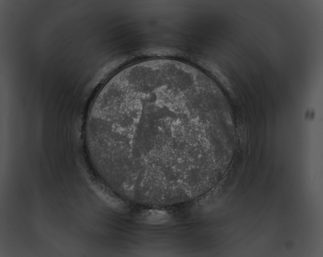 X0000091200159200708301607