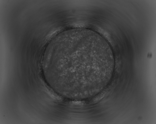X0000091200161200708301607