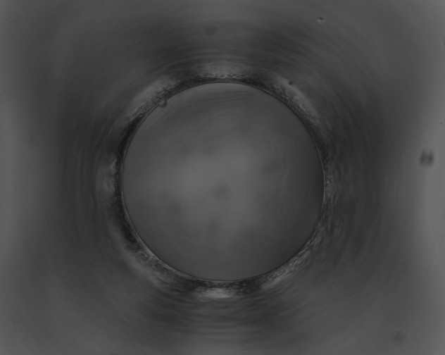 X0000091200163200708301607