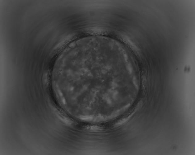 X0000091200165200708301607