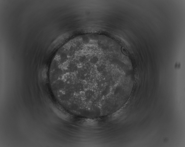 X0000091200166200708301607