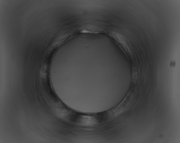 X0000091200167200708301607