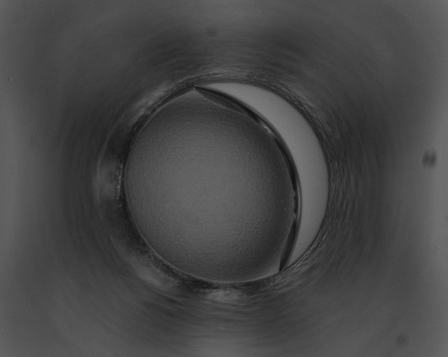 X0000091200168200708301608