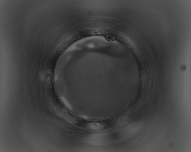 X0000091200169200708301608