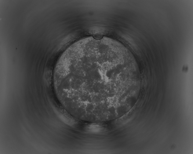 X0000091200171200708301608