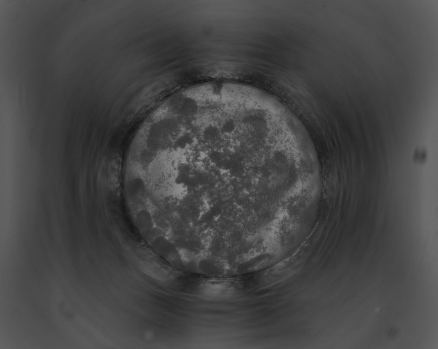 X0000091200175200708301608