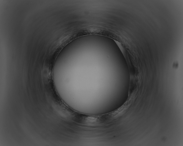 X0000091200176200708301608