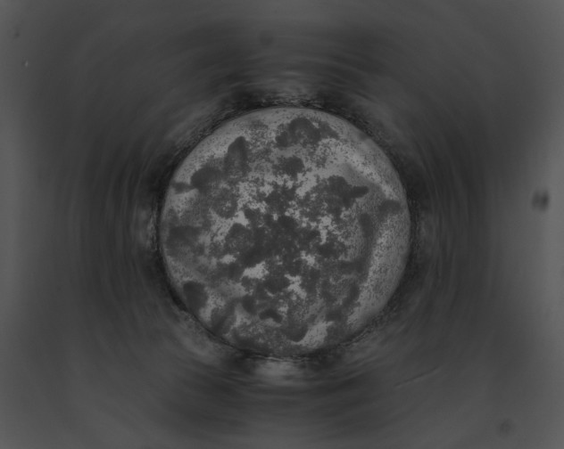 X0000091200177200708301608