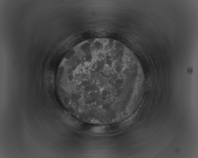 X0000091200178200708301608
