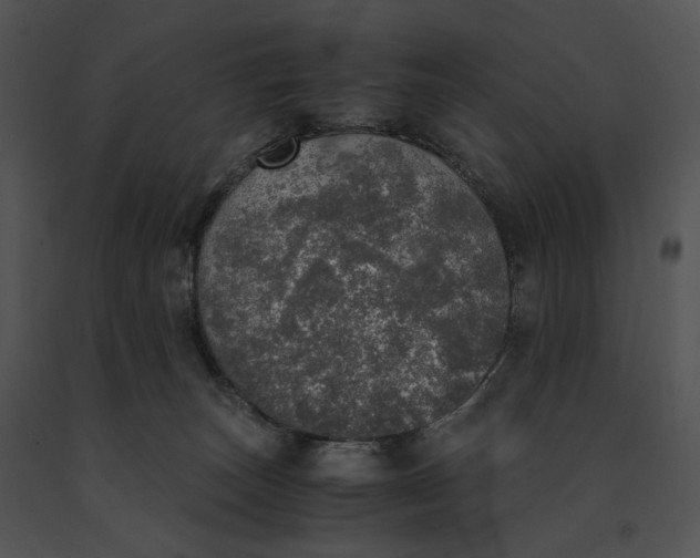 X0000091200179200708301608