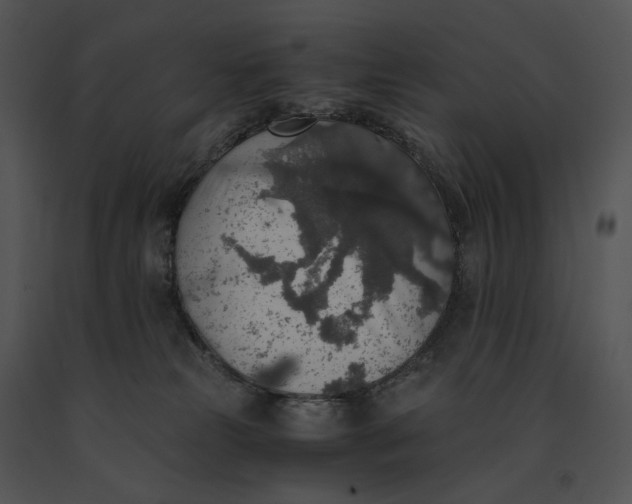 X0000091200181200708301608
