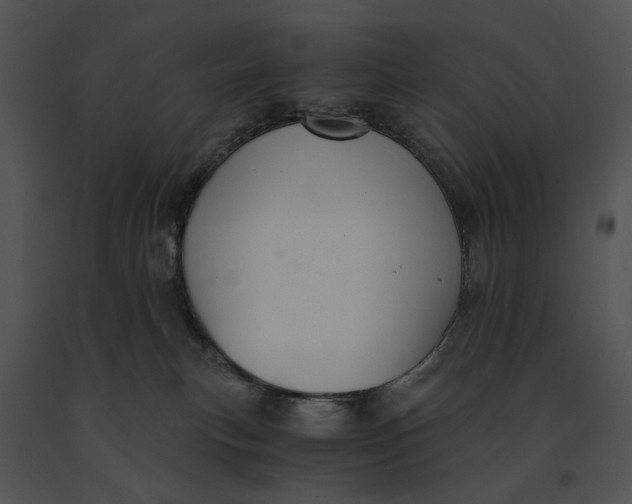 X0000091200183200708301608