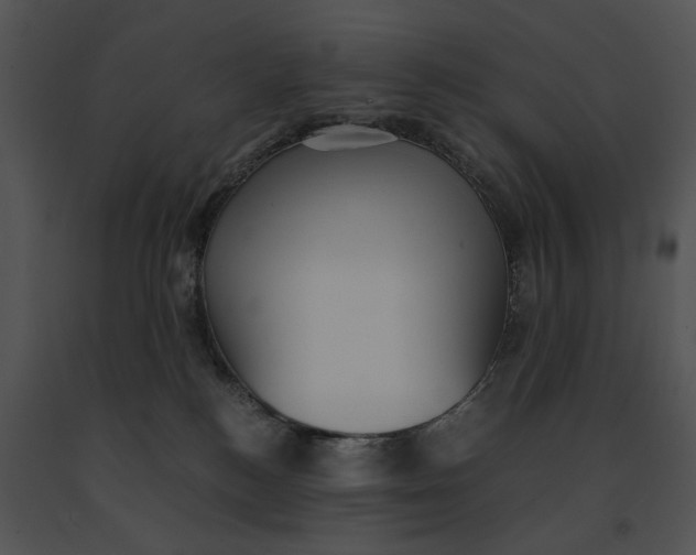 X0000091200184200708301608