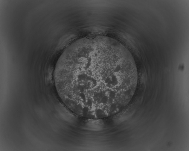 X0000091200185200708301608