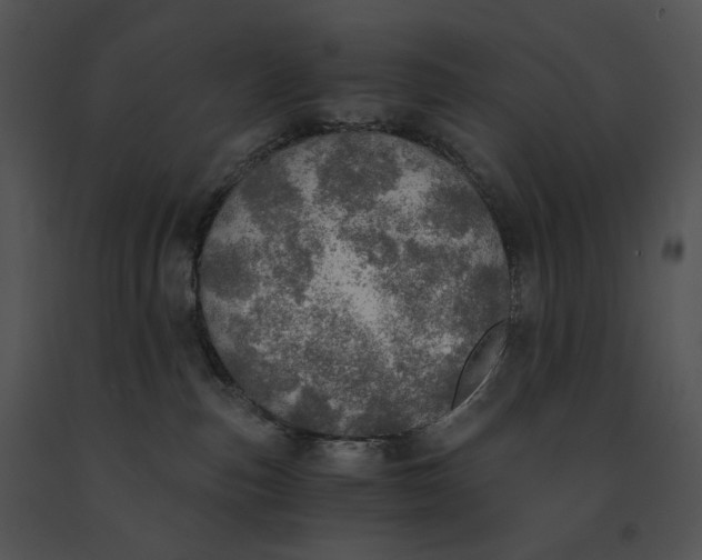 X0000091200187200708301608