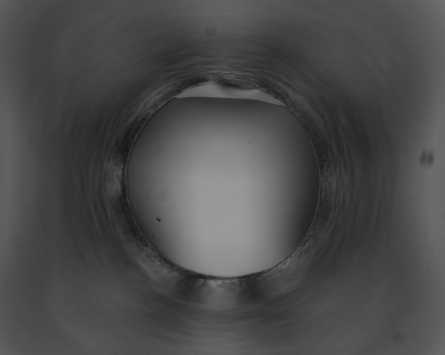 X0000091200188200708301608