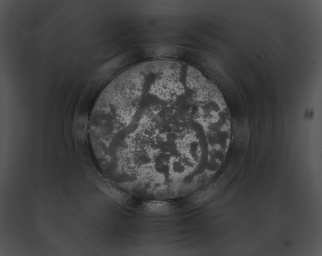 X0000091200189200708301608