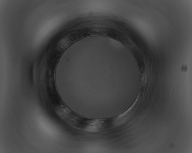 X0000091200191200708301608