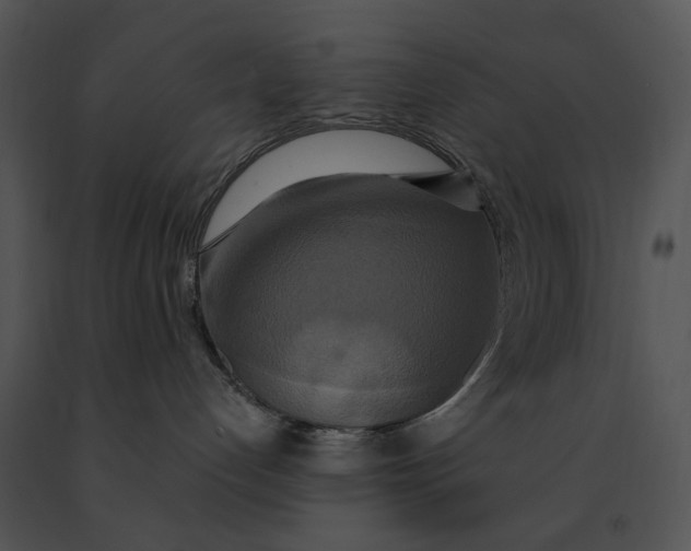 X0000091200192200708301608