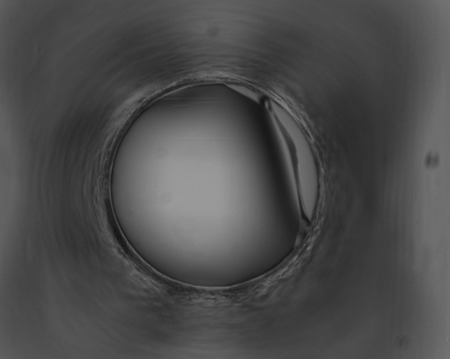X0000091200193200708301607