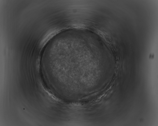 X0000091200194200708301607